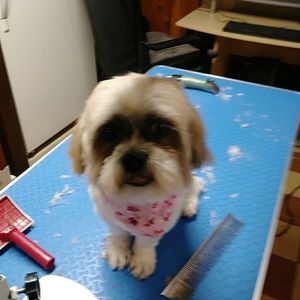 Meet your Posher, Maria